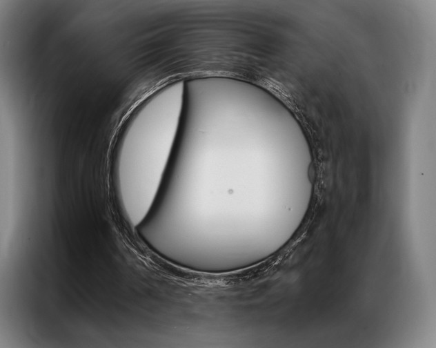 X0000087350194200704200811