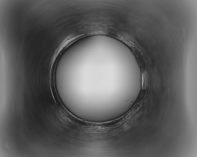 X0000087350195200704200811