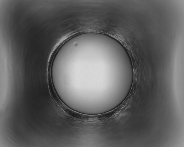 X0000087350196200704200811