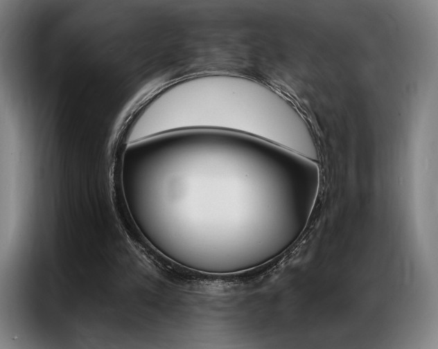 X0000087350197200704200811