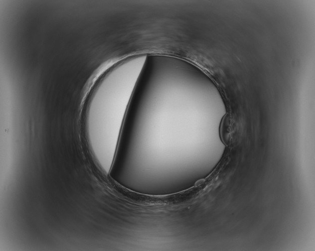 X0000087350200200704200811