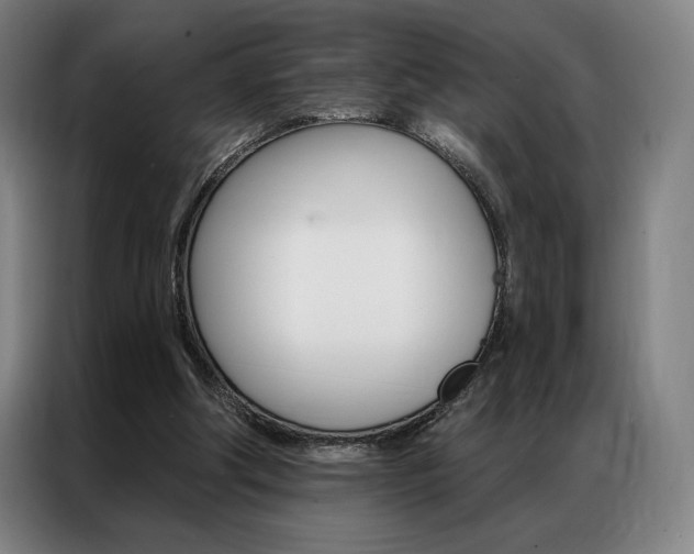 X0000087350202200704200811