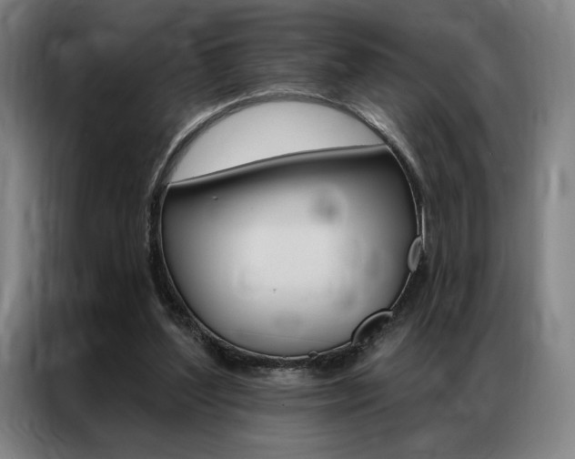 X0000087350204200704200811