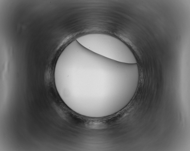 X0000087350208200704200811