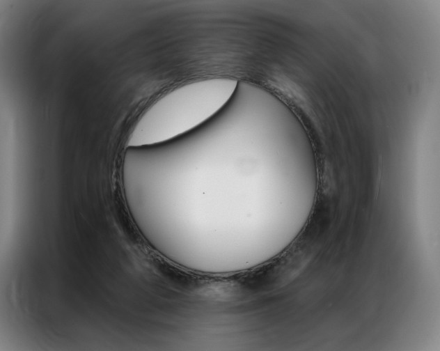 X0000087350210200704200811