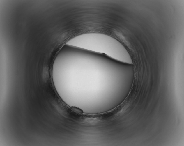 X0000087350213200704200811