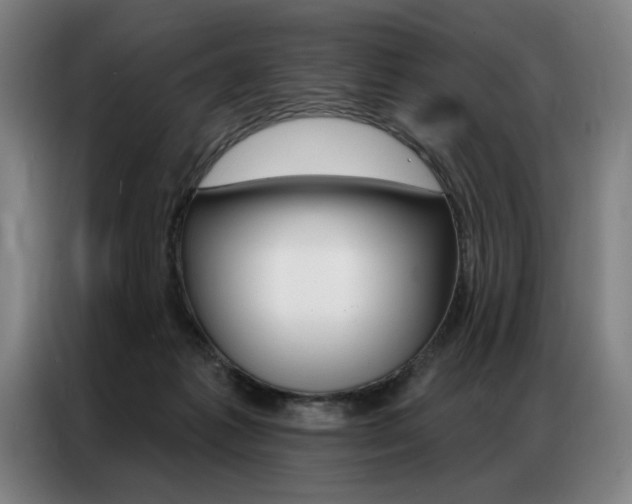 X0000087350221200704200811