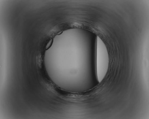 X0000087350223200704200811