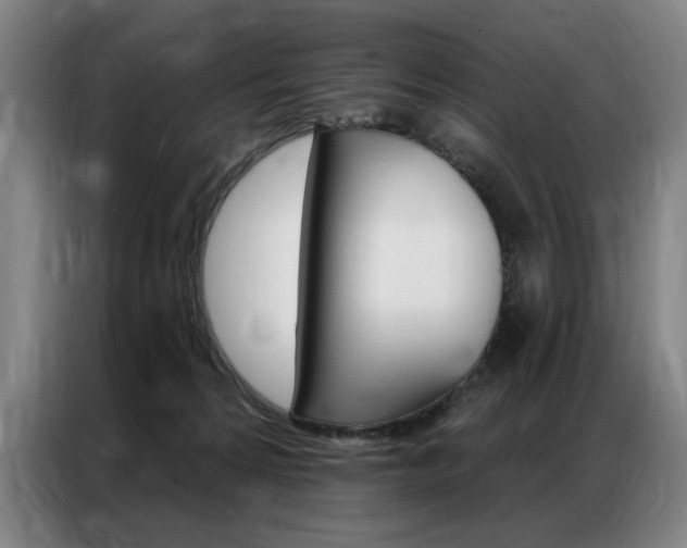 X0000087350224200704200811