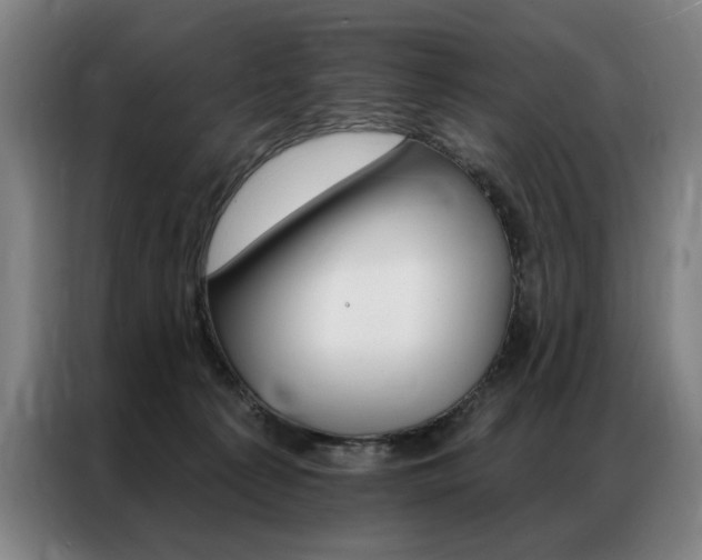 X0000087350225200704200811