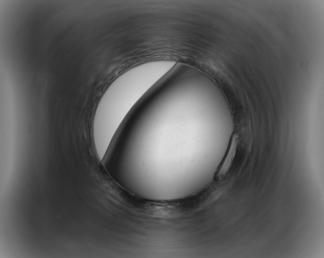 X0000087350229200704200811
