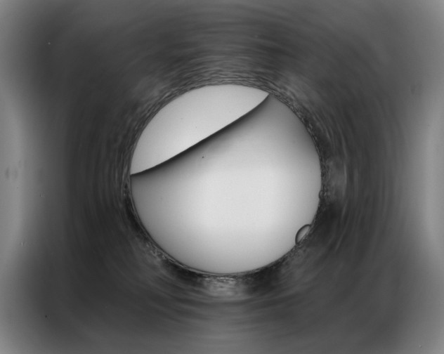 X0000087350230200704200811