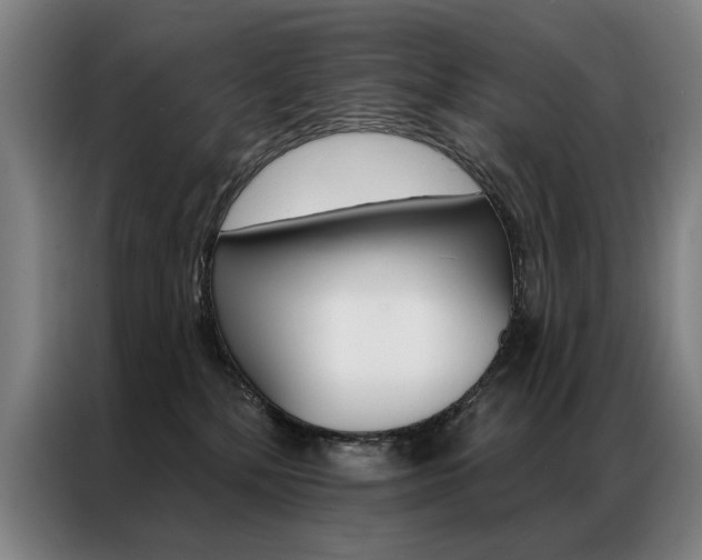 X0000087350232200704200811