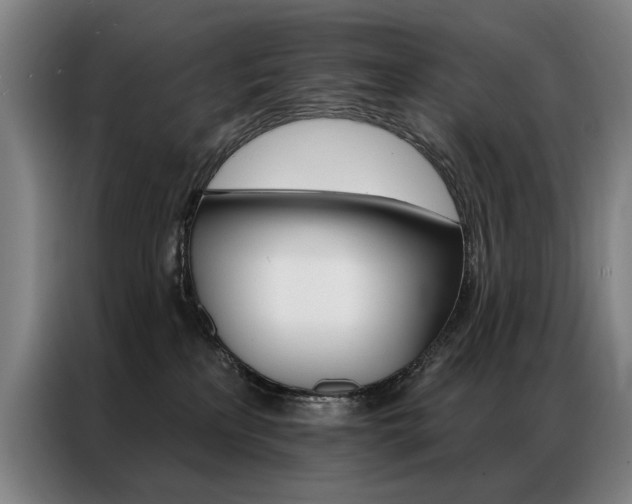 X0000087350233200704200811