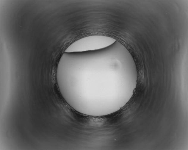 X0000087350234200704200811
