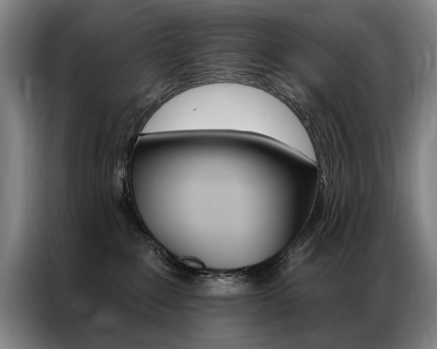 X0000087350235200704200811