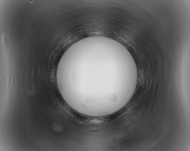 X0000087350236200704200811