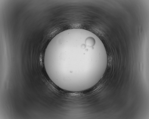 X0000087350238200704200811