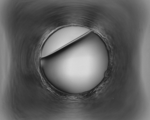 X0000087350241200704200810