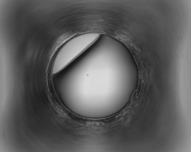 X0000087350242200704200810