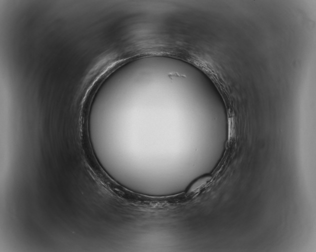 X0000087350243200704200810