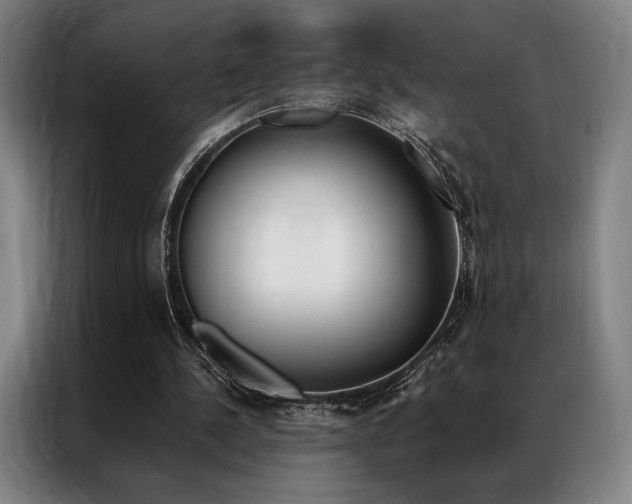 X0000087350244200704200810
