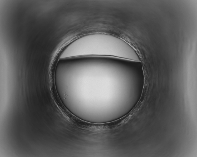 X0000087350245200704200810