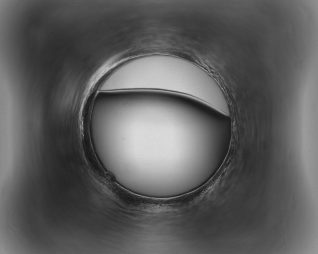 X0000087350246200704200810