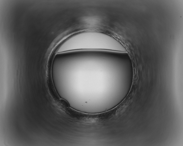 X0000087350247200704200810