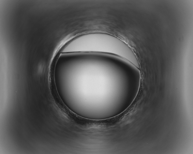 X0000087350248200704200810