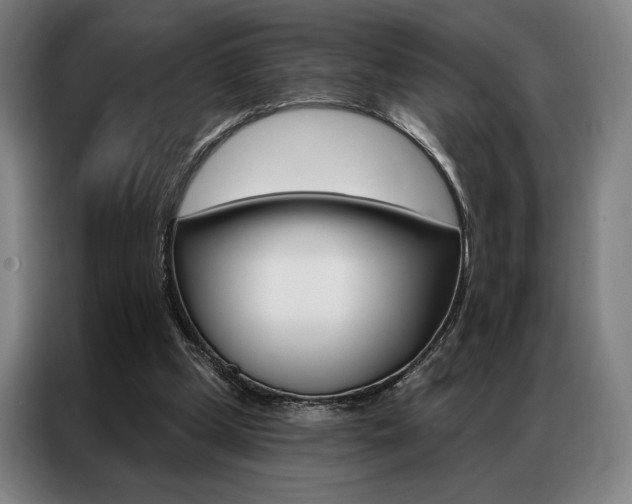 X0000087350249200704200810