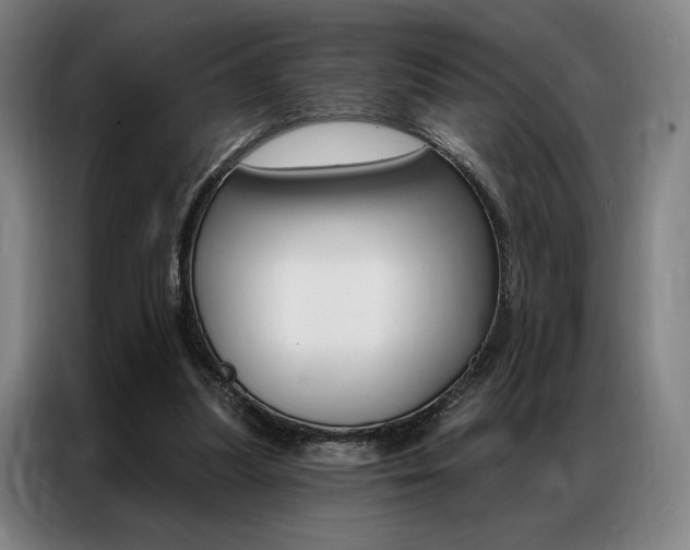 X0000087350251200704200810