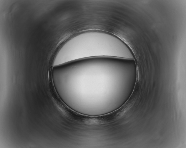 X0000087350253200704200810