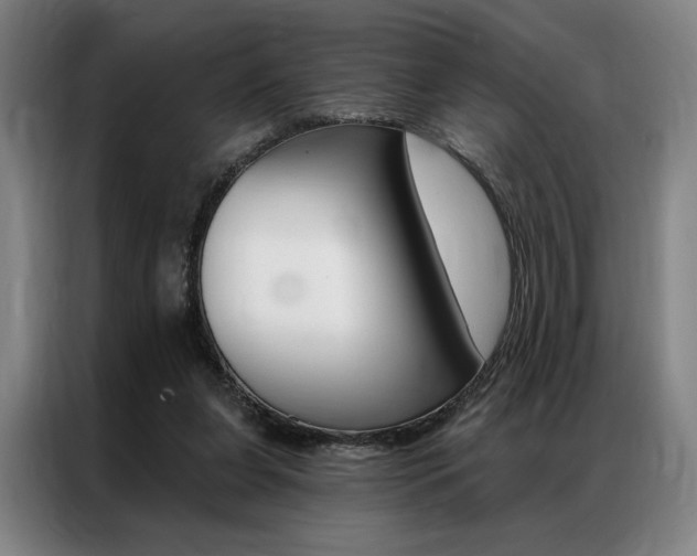 X0000087350255200704200810