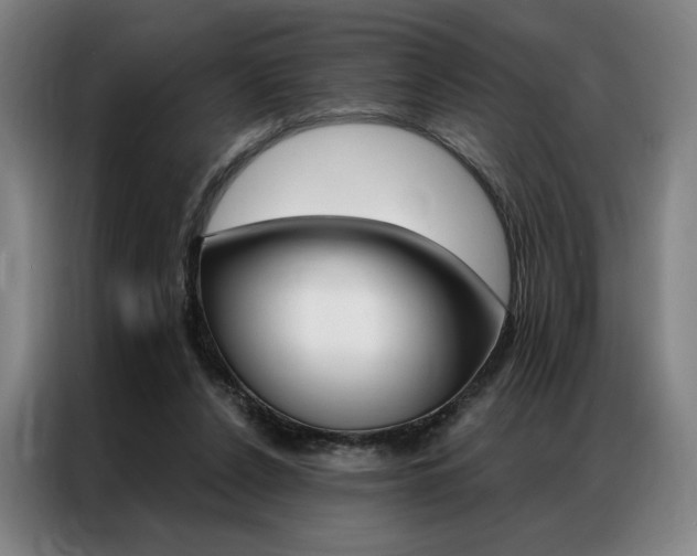 X0000087350256200704200810
