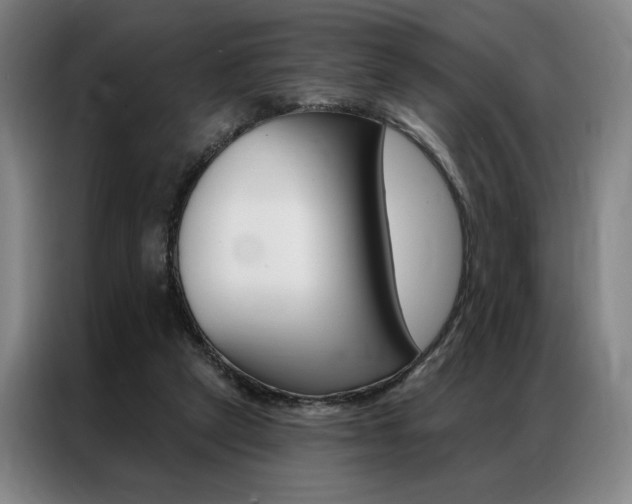 X0000087350257200704200810
