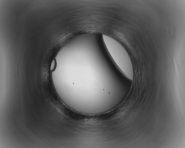 X0000087350259200704200810