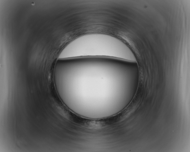X0000087350261200704200810