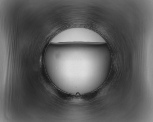 X0000087350262200704200810