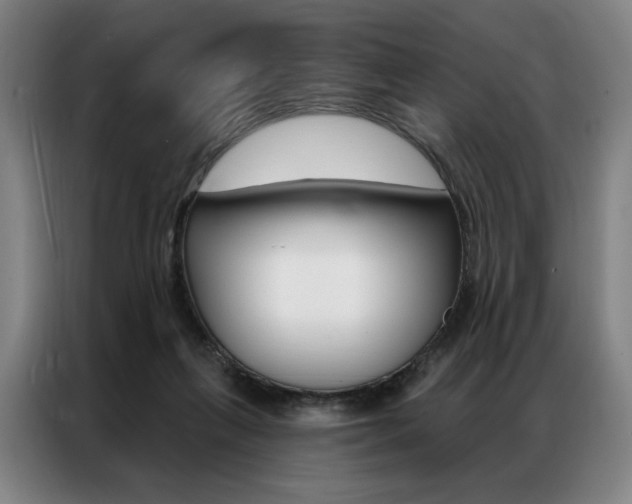 X0000087350263200704200810