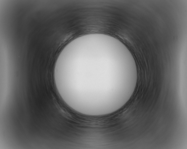 X0000087350264200704200810