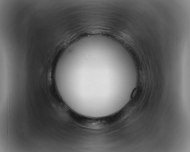 X0000087350267200704200810