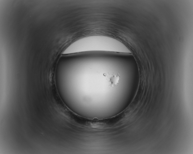 X0000087350268200704200811