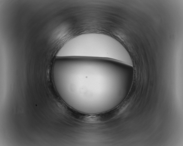 X0000087350269200704200811