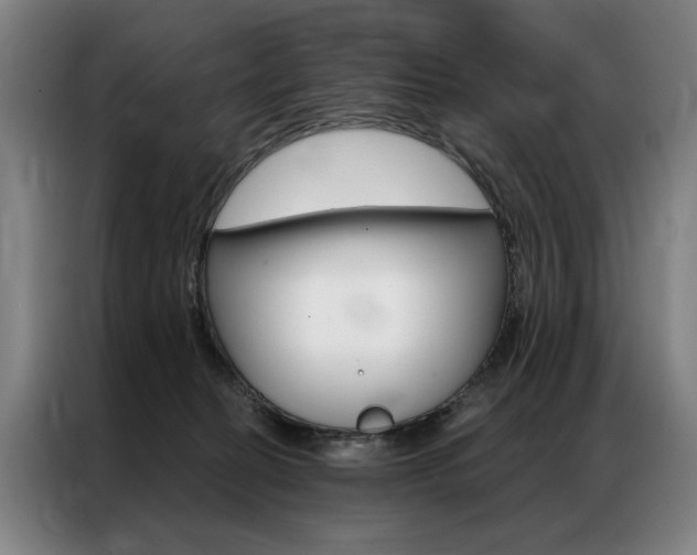 X0000087350274200704200811