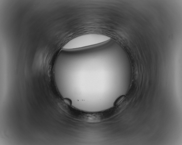 X0000087350275200704200811