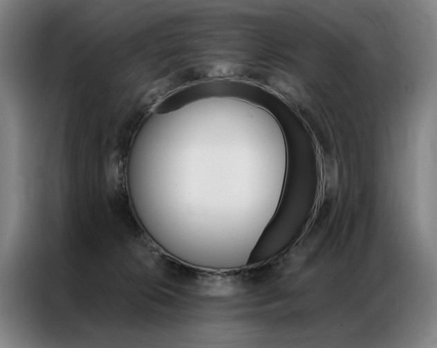 X0000087350276200704200811
