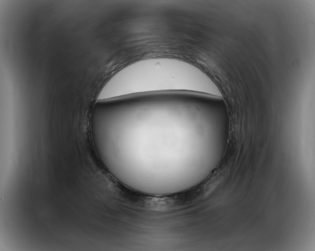 X0000087350277200704200811