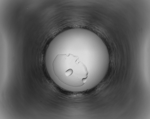 X0000087350278200704200811
