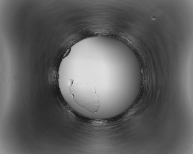 X0000087350281200704200811